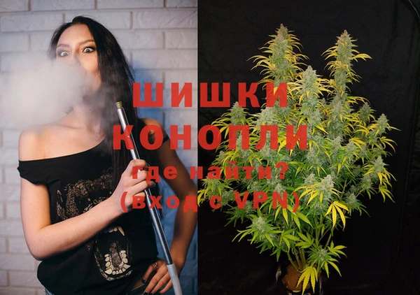 прущие крисы Вяземский