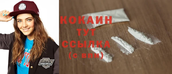PSILOCYBIN Вязники