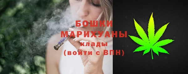 PSILOCYBIN Вязники