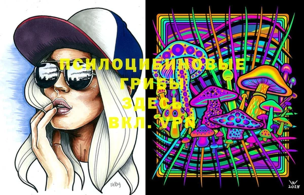 PSILOCYBIN Вязники