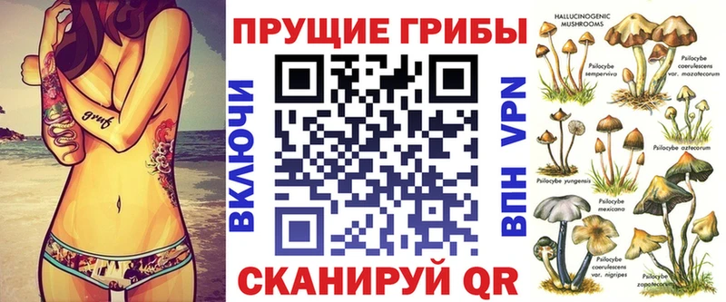 Купить где Серафимович Псилоцибиновые грибы мухоморы